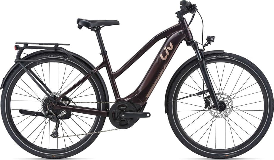 Liv Amiti-E+ 2 - RC Dash Braun Modell Aktion