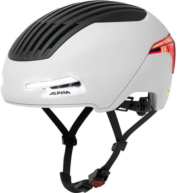 Alpina Brighton MIPS Grau Modell 2026